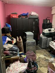 Blk 505 Elias Parks Estate (Pasir Ris), HDB Executive #451913891